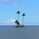 44- Un ilot au milieu du lagon de Raiatea 